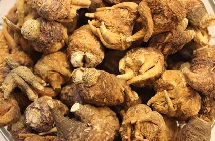 假冒玛咖的那点事 315防伪教您辨真小技巧