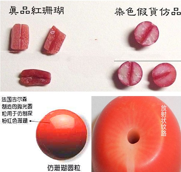 6点鉴别真假红珊瑚!