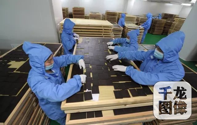 探访北京同仁堂阿胶生产基地：一张驴皮的出胶之旅