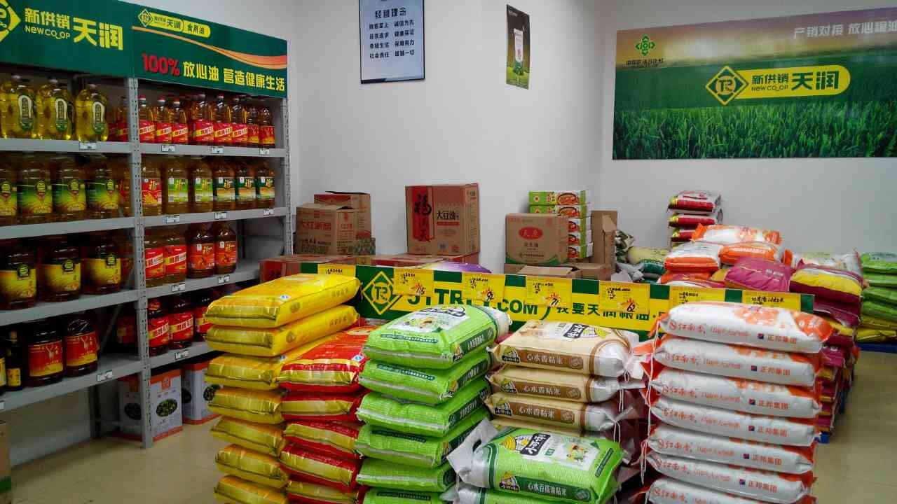 专家教您分辨真假粮油