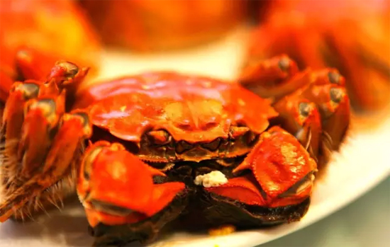 广东卫视《生活大数据》教你分辨真假大闸蟹