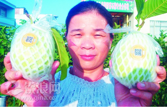 二维码防伪标签