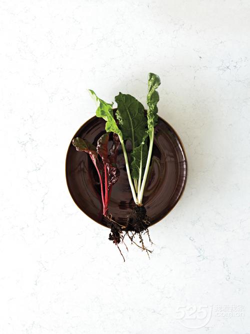 艺术与实用的结合——石英石台面