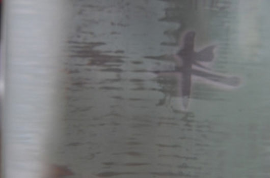 牛栏山陈酿白酒真假怎么辨别？_白酒防伪查询