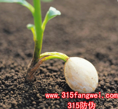 农作物种子溯源二维码标签质量追溯解决方案