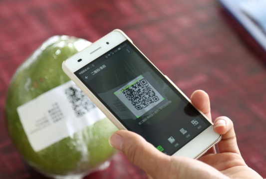 农产品防伪溯源系统