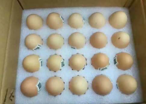 鸡蛋安全追溯二维码标签制作