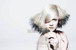  如何辨别施华蔻的真实、鉴别方法