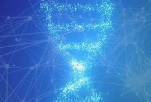 二维码防伪标签的制做步骤，防伪严厉查处假充货品