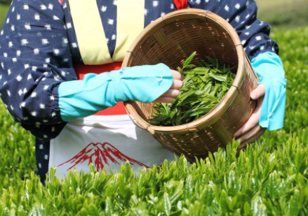 手工茶叶防伪码定制