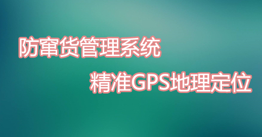 315防伪窜货系统