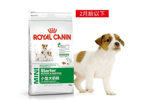 宠物食品二维码防伪标签