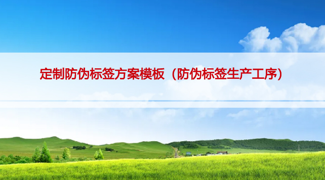 定制防伪标签方案模板（防伪标签生产工序）